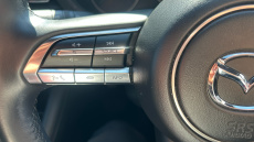 Mazda 3 2.0 e-Skyactiv G MHEV Sport Lux 5dr Petrol Hatchback